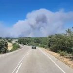 🌲 LA MIERLA | El incendio que dio la razón al IPP
