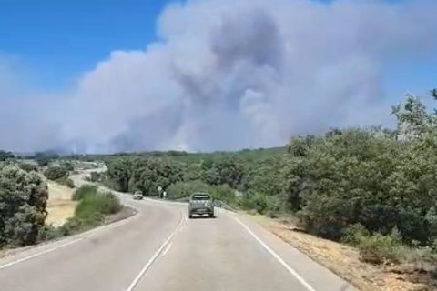 🌲 LA MIERLA | El incendio que dio la razón al IPP