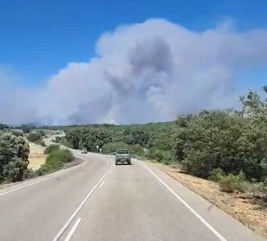 🌲 LA MIERLA | El incendio que dio la razón al IPP
